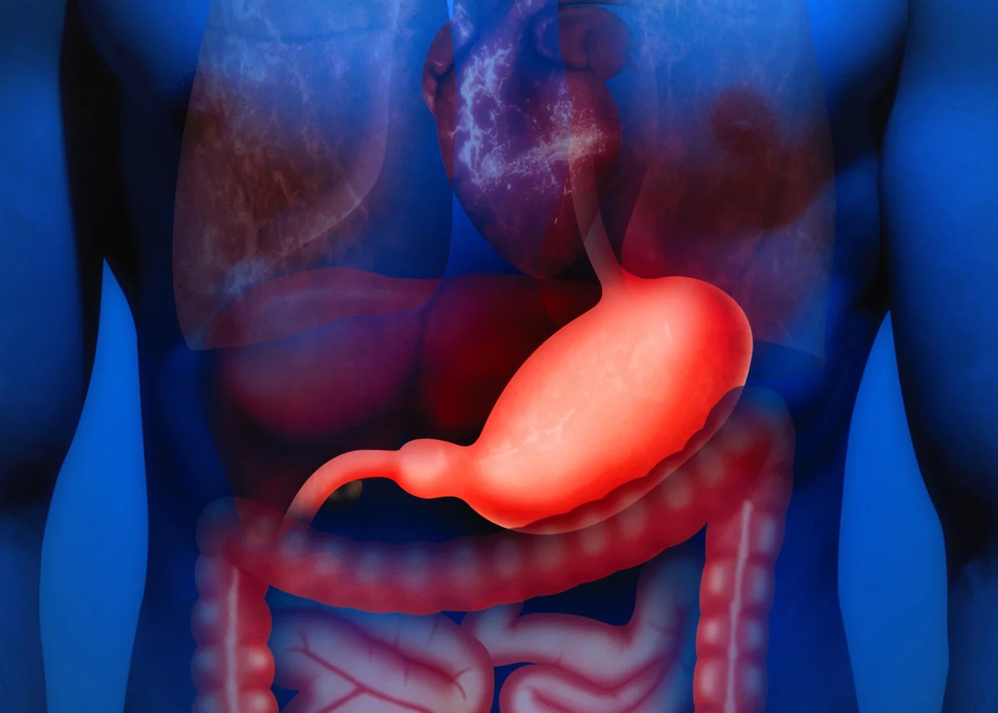 14 settembre 2026: Oltre la chemioterapia peri-operatoria: il ruolo dell’immunoterapia nel carcinoma gastrico resecabile 